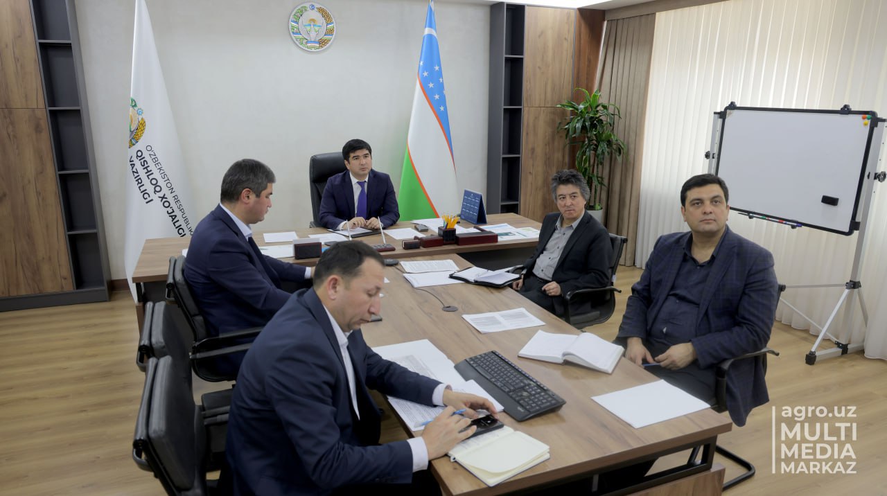 Узумчилик ва виночиликни ривожлантириш истиқболлари: самарадорлик ва келгусидаги режалар