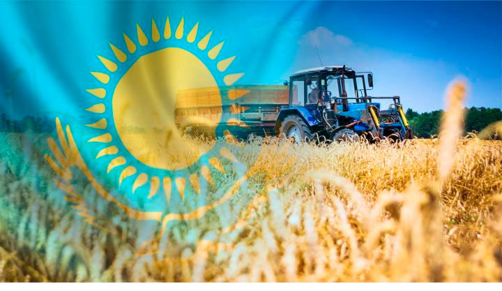 Узбекистан импортировал из Казахстана 2,5 миллиона тонны пшеницы